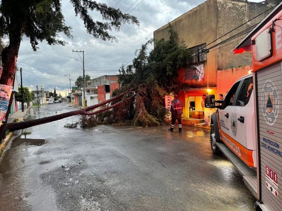 Ayuntamiento de Puebla atiende reportes por caída de árboles