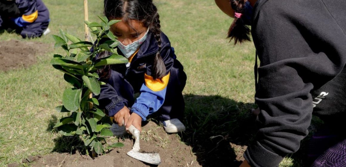 Encabeza Mundo Tlatehui Jornada de reforestación en el preescolar del CEDAT