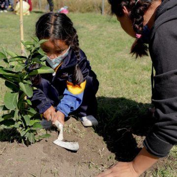 Encabeza Mundo Tlatehui Jornada de reforestación en el preescolar del CEDAT