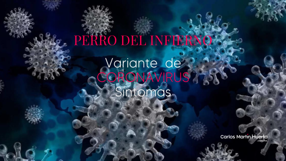 ¿Por qué se llama ‘Perro del infierno’ a la nueva variante del coronavirus?