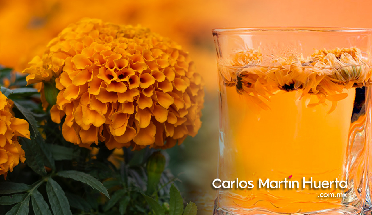 Esto puedes hacer con la flor de Cempasúchil - Carlos Martin Huerta