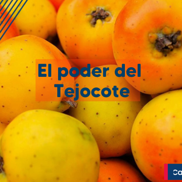 Beneficios para disfrutar de los tejocotes en su temporada