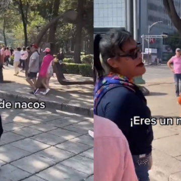 “Pónganse a trabajar, bola de nacos”: diputada de Morena ofende a manifestantes en marcha a favor del INE