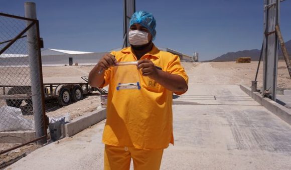 post_221104_AGRICULTURA_SENASICA_IMPLEMENTA_MEDIDAS_CONTRAEPIDE_MICAS_PARA_PROTEGER_PRODUCCIO_N_AVI_COLA-1 Alerta en siete estados por detección de Influenza aviar AH5N1