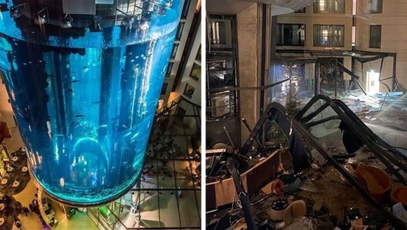 Explota el acuario más grande del mundo; mueren mil 500 peces