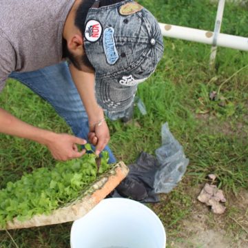 Ayuntamiento de Puebla brinda insumos del programa piloto modelo integral de agronegocios