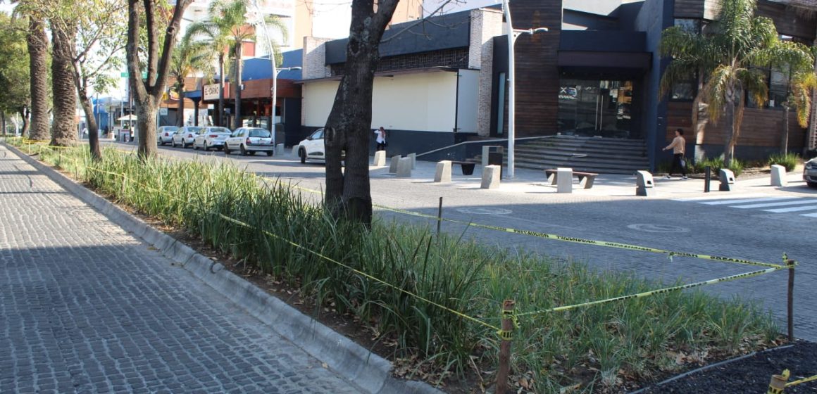 Ayuntamiento de Puebla entrega en custodia camellones de la Avenida Juárez