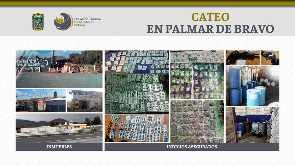 Cateos Palmar de Bravo 2