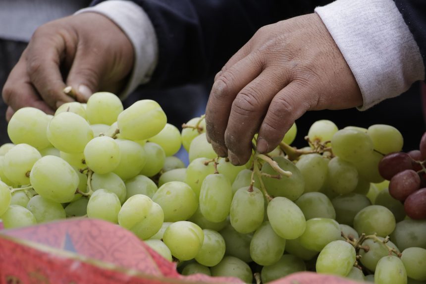 Profeco monitorea precios de uva y lomo de cerdo para proteger la economía familiar