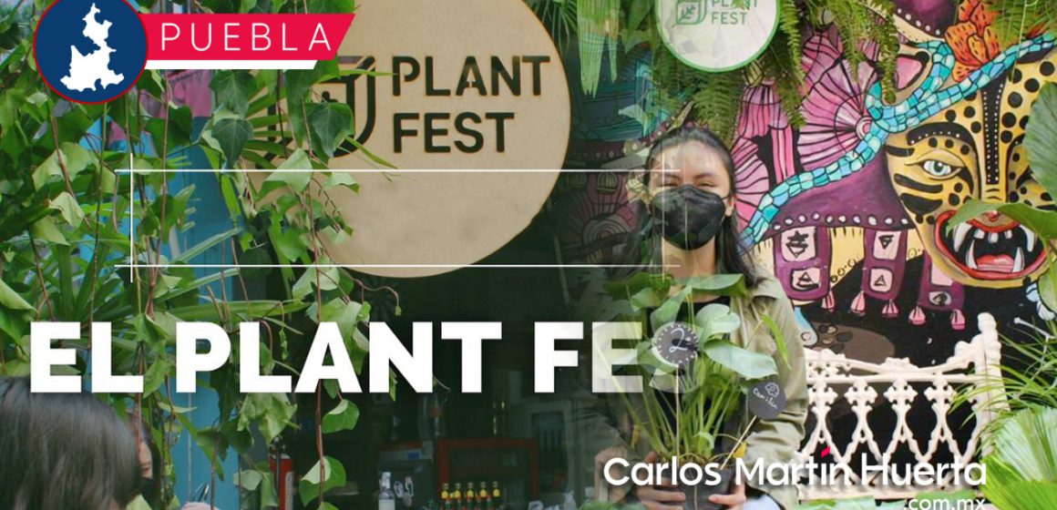 Más de 400 tipos de plantas en el Plant Fest 2022