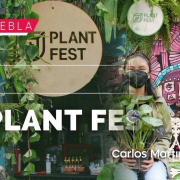 Más de 400 tipos de plantas en el Plant Fest 2022