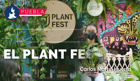 Más de 400 tipos de plantas en el Plant Fest 2022