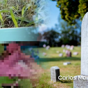 Abandonan a recién nacida en caja de zapatos en Veracruz; la pequeña murió