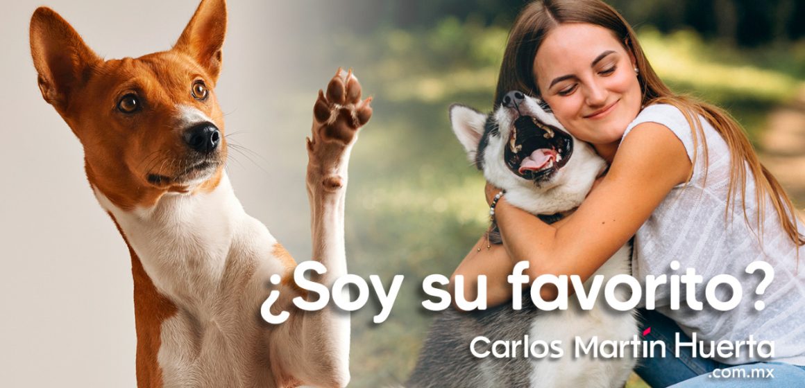 ¿Soy la persona favorita de mi perro?