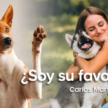 ¿Soy la persona favorita de mi perro?