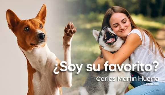 ¿Soy la persona favorita de mi perro?