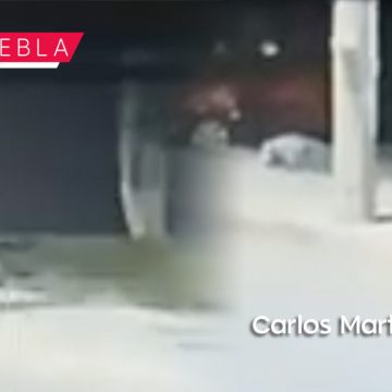 Revelan video del asesinato de un hombre en Ciudad Judicial