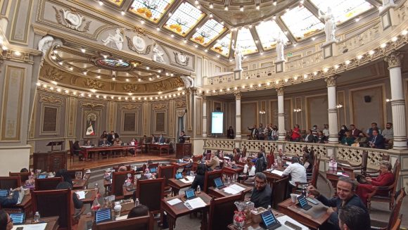 Presentan en el Pleno exhorto para evitar comercialización de heno y musgo en temporada decembrina Presentan en el Pleno exhorto para evitar comercialización de heno y musgo en temporada decembrina