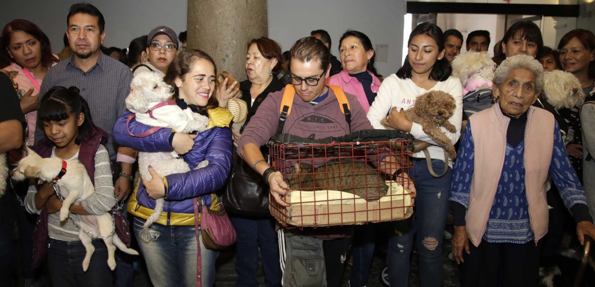 Bendición de mascotas en Puebla; conoce lugares y horarios