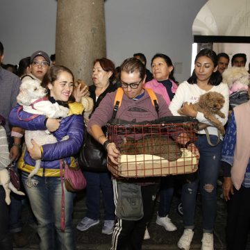 Bendición de mascotas en Puebla; conoce lugares y horarios