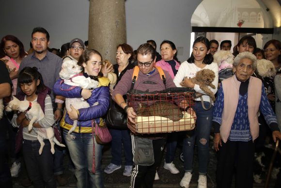 Bendición de mascotas en Puebla; conoce lugares y horarios