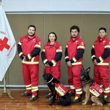Reconoce Cruz Roja Mexicana en Puebla rescatistas y ejemplares caninos que apoyaron en Turquía