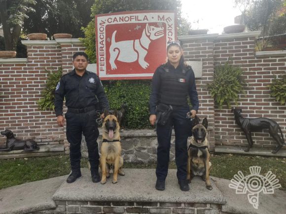 Caninos Tory y César - SSP Premian labor de la Unidad Canina de Centros Penitenciarios de Puebla