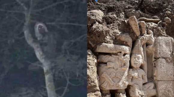 Diseño sin título (68) AMLO comparte foto de supuesto “aluxe” en las obras del Tren Maya