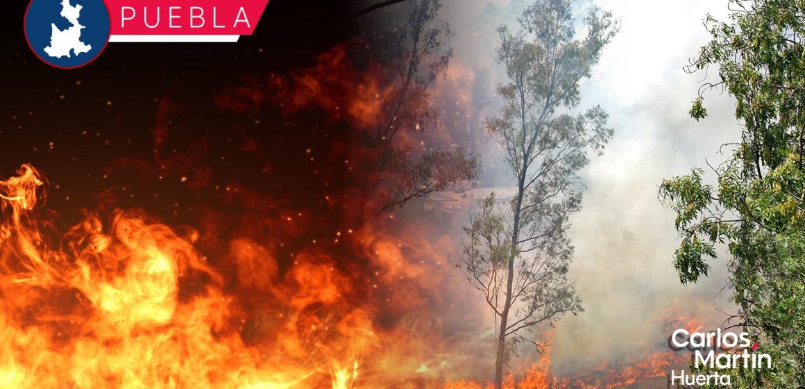 Incendio forestal en Ixtacamaxtitlán, controlado en un 80%