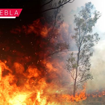 Incendio forestal en Ixtacamaxtitlán, controlado en un 80%