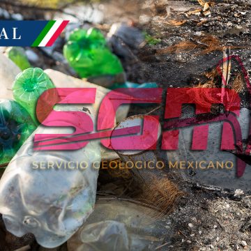 México cerca de un“colapso ambiental” por la basura que generamos