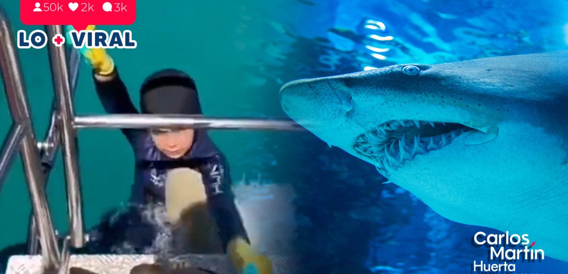 Tiburón ataca a niño que pescaba en Australia