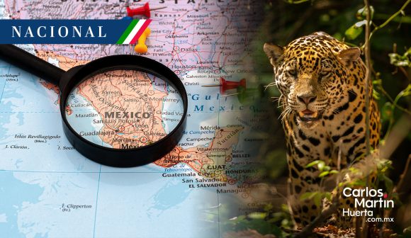 Buscan declarar nuevas Áreas Naturales Protegidas en seis estados