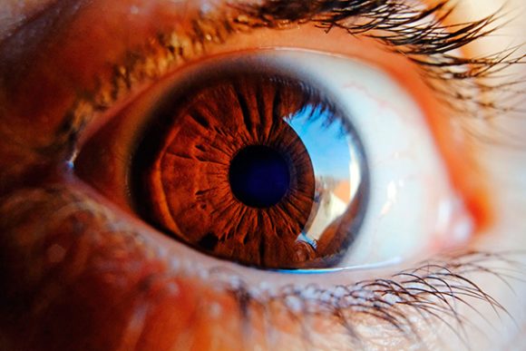 Retina, fuente potencial para diagnosticar Alzheimer: UNAM