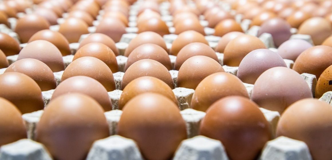Continúa a la alza precio del huevo de Puebla; cono con 30 piezas se vende hasta en 90