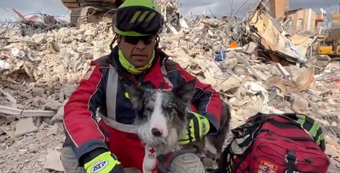 Conoce como Balam, perrito rescatista de México halló un sobreviviente entre los escombros en Turquía