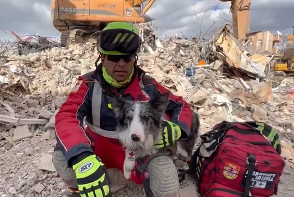 Conoce como Balam, perrito rescatista de México halló un sobreviviente entre los escombros en Turquía
