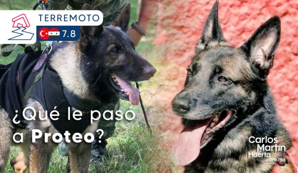 ¿Por qué murió Proteo? Revelan causa de muerte