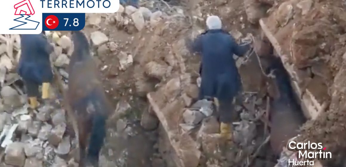 Rescatan un caballo sepultado entre los escombros en Turquía