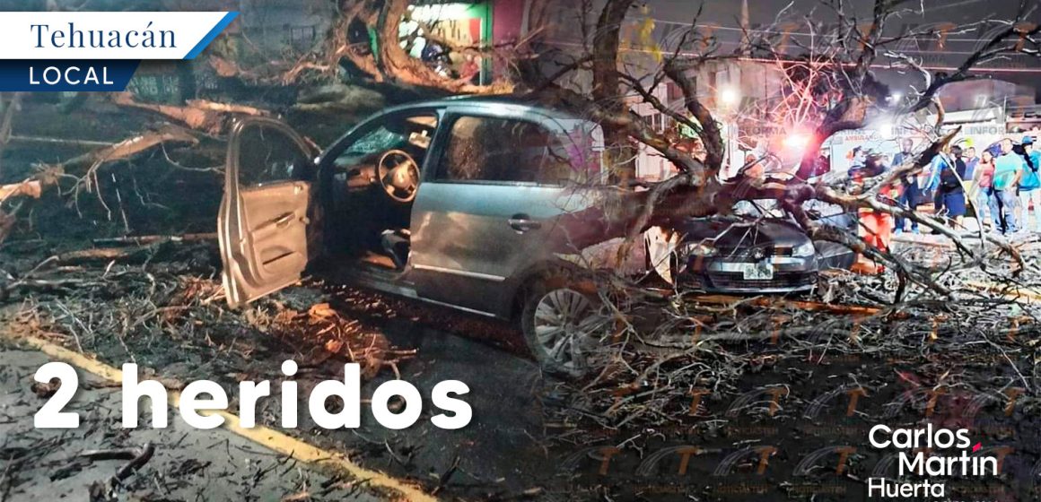 Viento derriba árbol y aplasta automóvil en Tehuacán