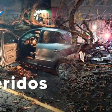 Viento derriba árbol y aplasta automóvil en Tehuacán