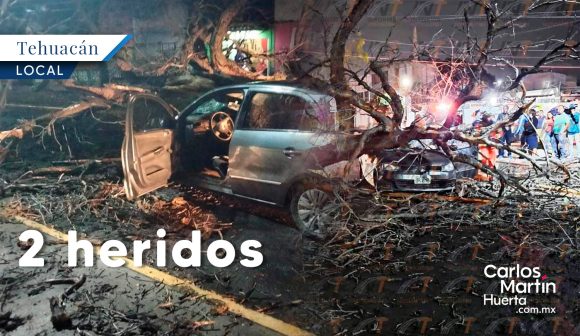 Caída árbol Tehuacán Viento derriba árbol y aplasta automóvil en Tehuacán