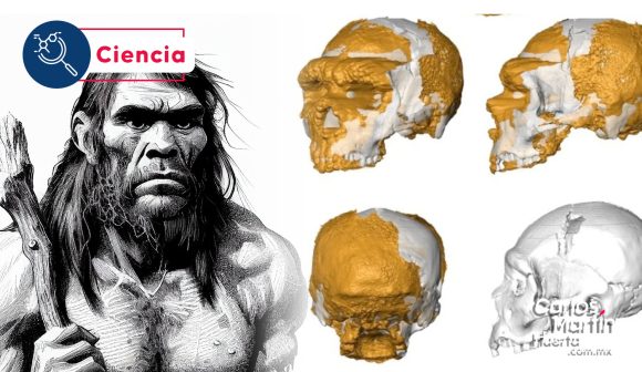 Reconstruyen cráneo de un neandertal que vivió hace 150 mil años