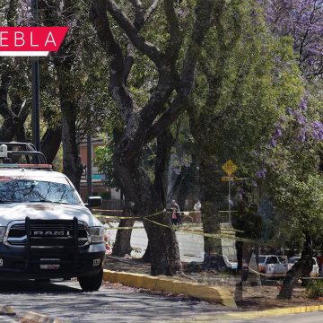 Se quita la vida en una jacaranda sobre Bulevar 5 de Mayo