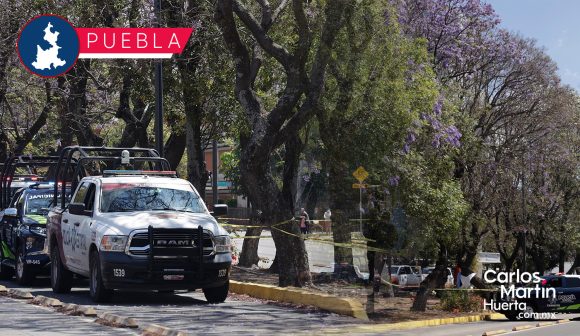 Se quita la vida - Bulevar 5 de Mayo Se quita la vida en una jacaranda sobre Bulevar 5 de Mayo
