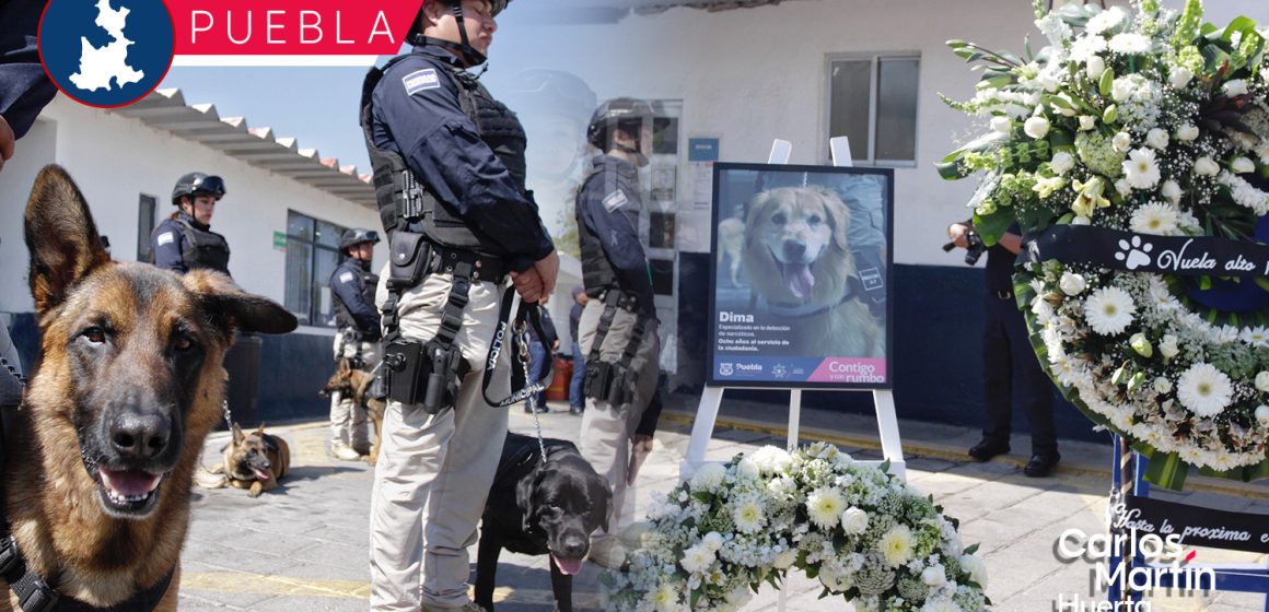 Tras 8 años de servicio, muere oficial canino Dima; le rinden homenaje