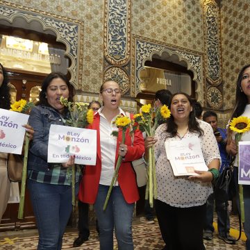 Colectivas feministas celebraron la aprobación de la Ley Ácida y Monzón