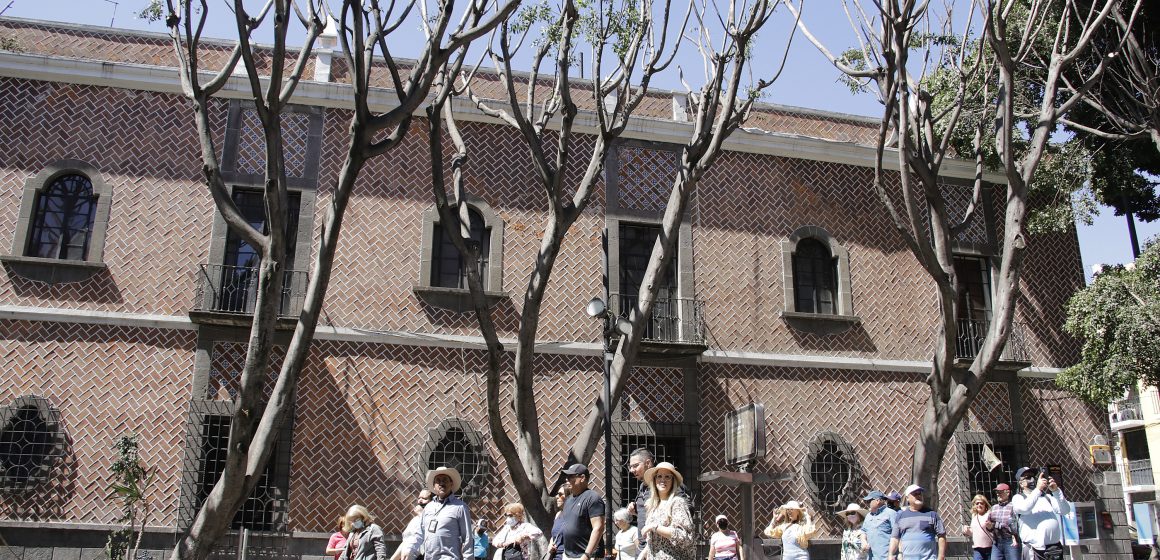 Castigo al responsable el ecocidio en la Plaza de la Democracia