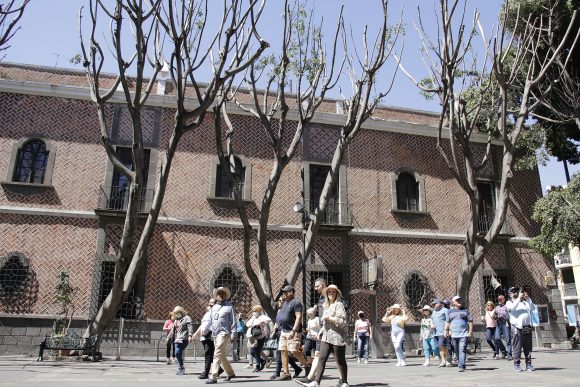 PODA DE ÁRBOLES . PLAZA DE LA DEMOCRACIA Castigo al responsable el ecocidio en la Plaza de la Democracia