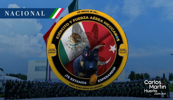 Cachorro turco se unirá a binomios caninos de Sedena